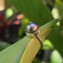 Load image into Gallery viewer, READY TO SHIP Civa Fiji Bezel Set Pearl Ring - 925 Sterling Silver FJD$