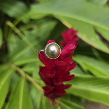 Load image into Gallery viewer, READY TO SHIP Civa Fiji Bezel Set Pearl Ring - 925 Sterling Silver FJD$