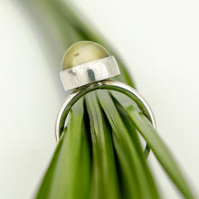 Load image into Gallery viewer, READY TO SHIP Civa Fiji Bezel Set Pearl Ring - 925 Sterling Silver FJD$