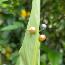 Load image into Gallery viewer, READY TO SHIP Civa Fiji Saltwater Pearl Trio Ring - 925 Sterling Silver FJD$