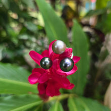 Load image into Gallery viewer, READY TO SHIP Civa Fiji Saltwater Pearl Trio Ring - 925 Sterling Silver FJD$