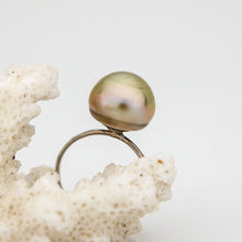 Load image into Gallery viewer, READY TO SHIP - Fiji Saltwater Pearl Ring - 925 Sterling Silver FJD$