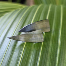 Load image into Gallery viewer, READY TO SHIP Mother of Pearl Stud Earrings - Stainless Steel FJD$