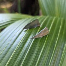 Load image into Gallery viewer, READY TO SHIP Mother of Pearl Stud Earrings - Stainless Steel FJD$