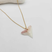 Load image into Gallery viewer, SEND US YOUR TOOTH - Shark Tooth Necklace - 14k Gold Fill FJD$