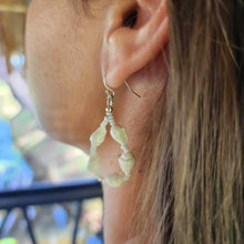Load image into Gallery viewer, READY TO SHIP Shell Earrings - 925 Sterling Silver FJD$
