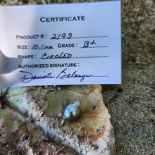 Load image into Gallery viewer, Civa Fiji Loose Saltwater Pearl with Grade Certificate #2193 - FJD$
