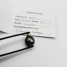 Load image into Gallery viewer, Civa Fiji Saltwater Pearl with Grade Certificate #2157 - FJD$ - Adorn Pacific - All Products