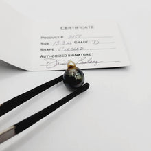 Load image into Gallery viewer, Civa Fiji Saltwater Pearl with Grade Certificate #2157 - FJD$ - Adorn Pacific - All Products