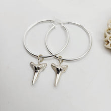 Load image into Gallery viewer, READY TO SHIP - Shark Tooth Earrings - 925 Sterling Silver FJD$ - Adorn Pacific - All Products