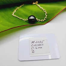 Load image into Gallery viewer, READY TO SHIP Graded Saltwater Pearl #2025 Bracelet in 14k Gold Fill with Grade Certificate - FJD$ - Adorn Pacific - All Products
