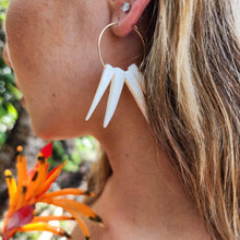 Load image into Gallery viewer, READY TO SHIP Shell Hoop Earrings - 14k Gold Fill FJD$ - Adorn Pacific - Earrings