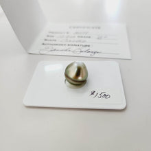 Load image into Gallery viewer, Civa Fiji Saltwater Pearl with Grade Certificate #2098 - FJD$ - Adorn Pacific - All Products