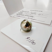 Load image into Gallery viewer, Civa Fiji Saltwater Pearl with Grade Certificate #2098 - FJD$ - Adorn Pacific - All Products