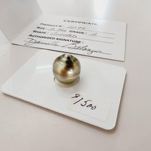 Load image into Gallery viewer, Civa Fiji Saltwater Pearl with Grade Certificate #2099 - FJD$ - Adorn Pacific - All Products