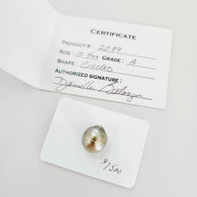Load image into Gallery viewer, Civa Fiji Saltwater Pearl with Grade Certificate #2099 - FJD$ - Adorn Pacific - All Products