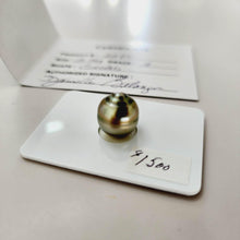 Load image into Gallery viewer, Civa Fiji Saltwater Pearl with Grade Certificate #2099 - FJD$ - Adorn Pacific - All Products