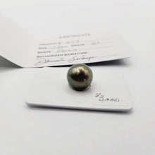 Load image into Gallery viewer, Civa Fiji Saltwater Pearl with Grade Certificate #2113 - FJD$ - Adorn Pacific - All Products