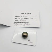 Load image into Gallery viewer, Civa Fiji Saltwater Pearl with Grade Certificate #2113 - FJD$ - Adorn Pacific - All Products