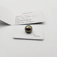 Load image into Gallery viewer, Civa Fiji Saltwater Pearl with Grade Certificate #2113 - FJD$ - Adorn Pacific - All Products