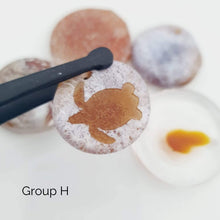 Load image into Gallery viewer, CONTACT US TO RECREATE THIS SOLD OUT STYLE Adorn Pacific x Hot Glass Earrings with Monstera Mother of Pearl Shell- FJD$ - Adorn Pacific - Earrings