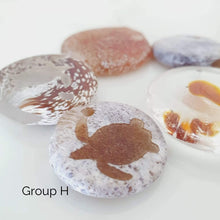 Load image into Gallery viewer, CONTACT US TO RECREATE THIS SOLD OUT STYLE Adorn Pacific x Hot Glass Earrings with Monstera Mother of Pearl Shell- FJD$ - Adorn Pacific - Earrings