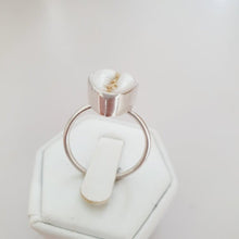 Load image into Gallery viewer, CONTACT US TO RECREATE THIS SOLD OUT STYLE Bezel set Fiji Cowrie Shell Ring - 925 Sterling Silver FJD$ - Adorn Pacific - Rings