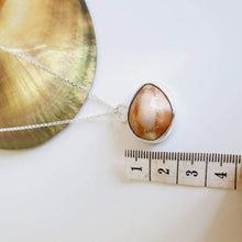 Load image into Gallery viewer, CONTACT US TO RECREATE THIS SOLD OUT STYLE Bezel Set Shell Necklace - 925 Sterling Silver FJD$ - Adorn Pacific - Bracelets