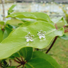 Load image into Gallery viewer, CONTACT US TO RECREATE THIS SOLD OUT STYLE Frangipani Stud Earrings - 925 Sterling Silver - FJD$ - Adorn Pacific - Earrings
