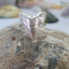 Load image into Gallery viewer, CONTACT US TO RECREATE THIS SOLD OUT STYLE Shark Tooth Ring UNISEX - 925 Sterling Silver FJD$ - Adorn Pacific - Rings