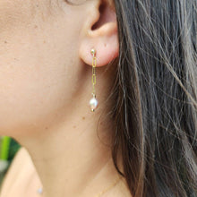 Load image into Gallery viewer, READY TO SHIP - Freshwater Pearl Stud Earrings with Chain Detail - 14k Gold Fill FJD$ - Adorn Pacific - Earrings