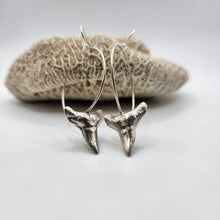 Load image into Gallery viewer, CONTACT US TO RECREATE THIS SOLD OUT STYLE Shark Tooth Earrings - 925 Sterling Silver FJD$ - Adorn Pacific - Earrings