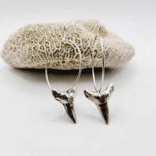 Load image into Gallery viewer, CONTACT US TO RECREATE THIS SOLD OUT STYLE Shark Tooth Earrings - 925 Sterling Silver FJD$ - Adorn Pacific - Earrings