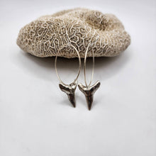 Load image into Gallery viewer, CONTACT US TO RECREATE THIS SOLD OUT STYLE Shark Tooth Earrings - 925 Sterling Silver FJD$ - Adorn Pacific - Earrings