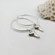 Load image into Gallery viewer, READY TO SHIP - Shark Tooth Earrings - 925 Sterling Silver FJD$ - Adorn Pacific - All Products