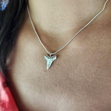 Load image into Gallery viewer, READY TO SHIP Shark Tooth Necklace - 925 Sterling Silver FJD$