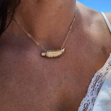 Load image into Gallery viewer, CONTACT US TO RECREATE THIS SOLD OUT STYLE Shell Necklace - 14k Gold Fill FJD$ - Adorn Pacific - All Products