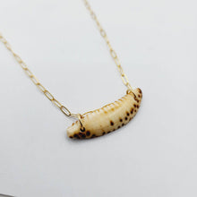 Load image into Gallery viewer, CONTACT US TO RECREATE THIS SOLD OUT STYLE Shell Necklace - 14k Gold Fill FJD$ - Adorn Pacific - All Products