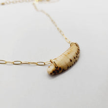 Load image into Gallery viewer, CONTACT US TO RECREATE THIS SOLD OUT STYLE Shell Necklace - 14k Gold Fill FJD$ - Adorn Pacific - All Products