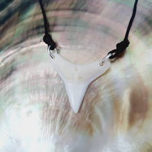 Load image into Gallery viewer, SEND US YOUR TOOTH - Shark Tooth Necklace - Wax Cord FJD$ - Adorn Pacific - All Products