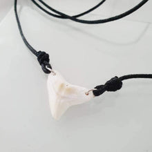 Load image into Gallery viewer, SEND US YOUR TOOTH - Shark Tooth Necklace - Wax Cord FJD$ - Adorn Pacific - All Products