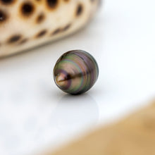 Load image into Gallery viewer, Civa Fiji Saltwater Pearl with Grade Certificate #3084 - FJD$
