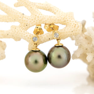 CONTACT US TO RECREATE THIS SOLD OUT STYLE Civa Fiji Graded Pearl Earrings #BO3024 - 14k Solid Gold FJD$