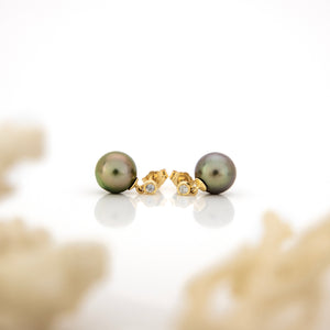 CONTACT US TO RECREATE THIS SOLD OUT STYLE Civa Fiji Graded Pearl Earrings #BO3024 - 14k Solid Gold FJD$