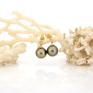 CONTACT US TO RECREATE THIS SOLD OUT STYLE Civa Fiji Graded Pearl Earrings #BO3024 - 14k Solid Gold FJD$