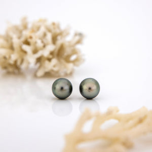 READY TO SHIP Civa Fiji Saltwater Graded Pearl Earrings #BO4000 - 925 Sterling Silver FJD$