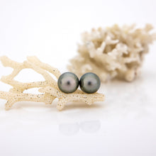 Load image into Gallery viewer, READY TO SHIP Civa Fiji Saltwater Graded Pearl Earrings #BO4000 - 925 Sterling Silver FJD$
