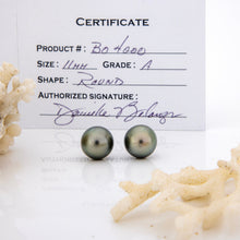 Load image into Gallery viewer, READY TO SHIP Civa Fiji Saltwater Graded Pearl Earrings #BO4000 - 925 Sterling Silver FJD$
