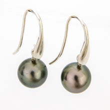 Load image into Gallery viewer, READY TO SHIP Civa Fiji Saltwater Graded Pearl Earrings #BO4000 - 925 Sterling Silver FJD$
