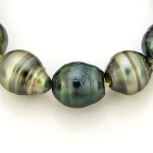 READY TO SHIP Unisex Civa Fiji Pearl Stretch Bracelet - FJD$